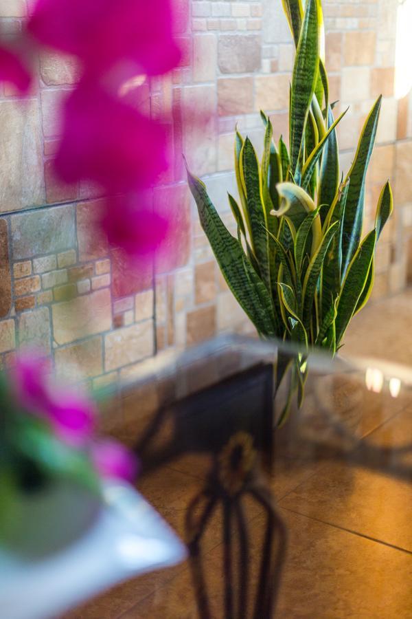Merida Serviced Apartments Luaran gambar
